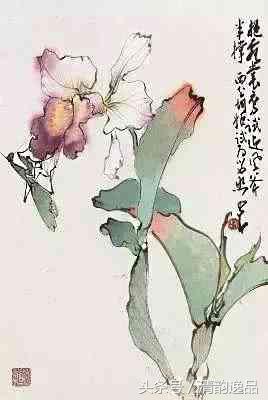 岭南著名画家赵少昂绘画视频,岭南画派十大名家名单赵少昂