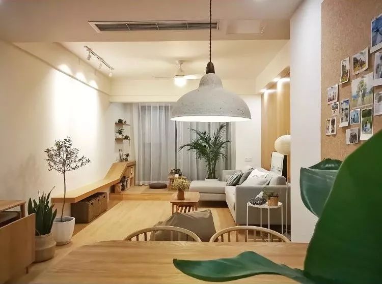 Mu指南|7种家居风格与完美植物搭配