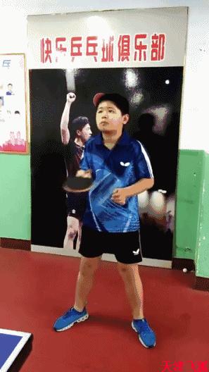 乒乓球系统训练计划明细表,乒乓球基础教练教学书籍