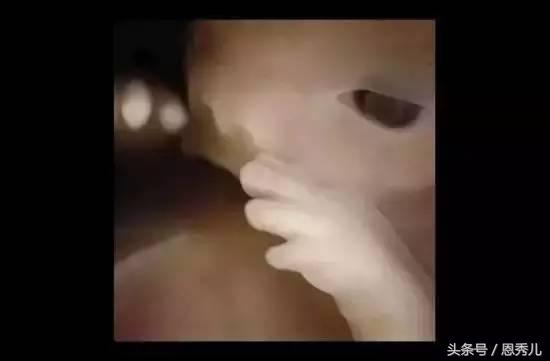 摄影大师花费10年,用镜头记录精子与卵子结合并发育成长的过程!