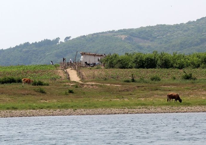 中朝边境美丽的风景,中朝边境桃花盛开的地方