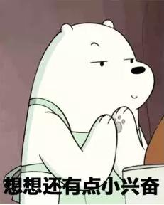 能用autocad的电脑,mac系统使用autocad