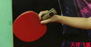 乒乓球系统训练计划明细表,乒乓球基础教练教学书籍