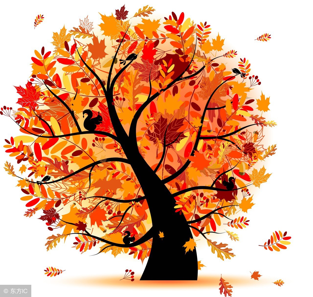 十月怀胎各阶段的不适,10月怀胎真的很不容易