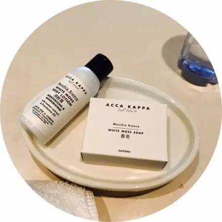 腊梅哪款好用,十大最好的腊梅