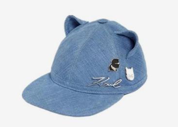 老佛爷家的猫视频,老佛爷养的猫