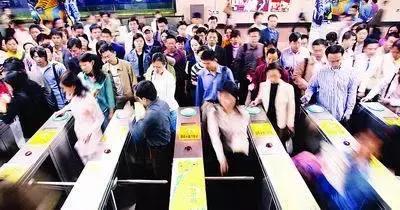 又到了花粉过敏的季节,为什么日本花粉症这么多