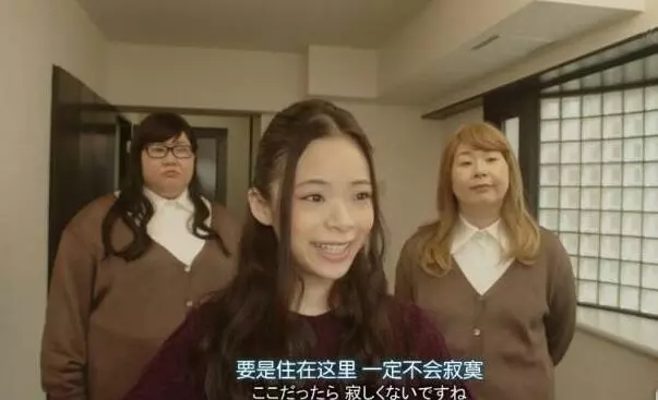 工作租房的十大忠告,职场打工人白领租房的真实现状