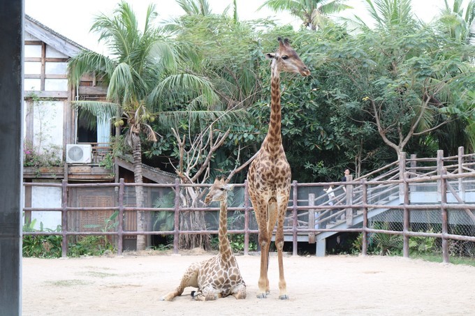 三亚大理丽江哪里拍婚纱照好,去三亚拍婚纱照中国风