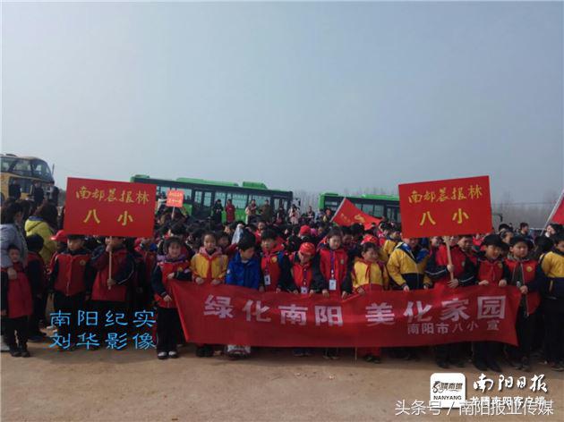 植树种草美化家园,植树美化家园