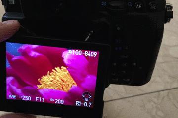 宾得k-01是全画幅吗,宾得全画幅镜头100-3000