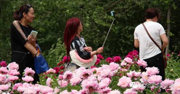 沈阳游玩攻略两天一夜带孩子,沈阳周末游玩好去处