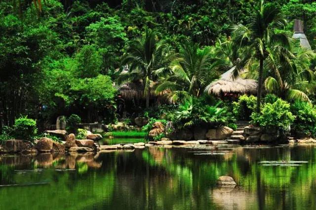 把三亚特产带回家歌曲,感受海的色彩体验三亚的魅力