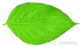 自然教育课程设计思维导图,自然特征与农业思维导图