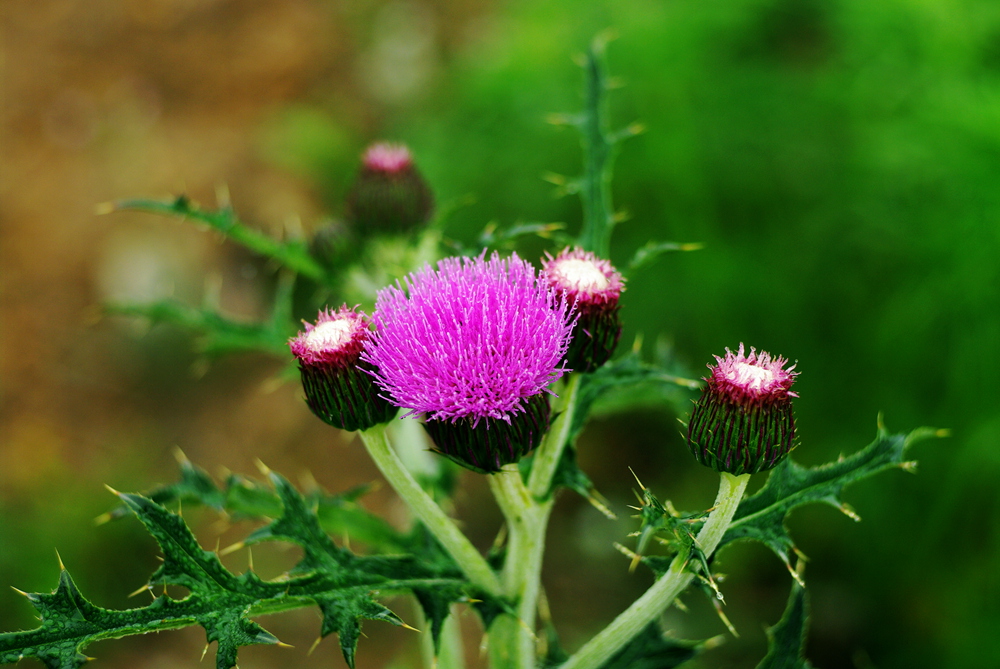 不看不晓得,不看不知道