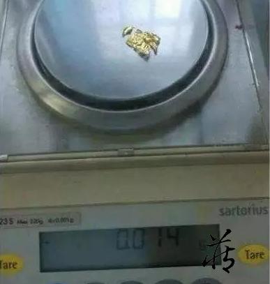 被玩坏的游戏彩蛋,被玩坏的装饰游戏