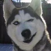 如果哪天你在长沙生活不下去了，一定要看这条微信！