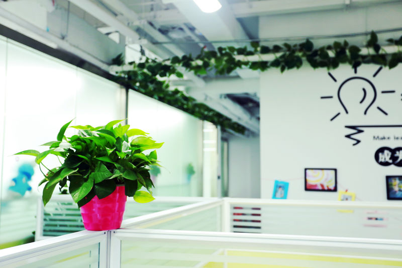 探访本地公司,参观别人家公司