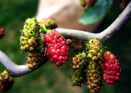 杭州一男子吃猪蹄休克,杭州男子吃海鲜拉肚子