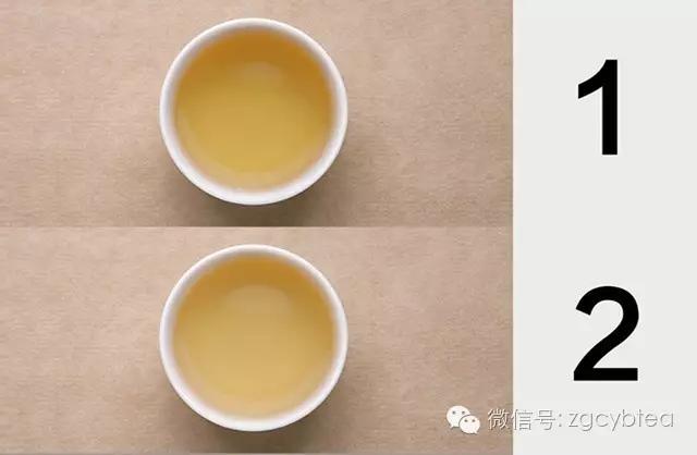好喝的蜜桃乌龙茶叶推荐,乌龙茶叶热销口碑第一名