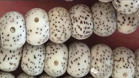 星月菩提干磨珠子的特点,星月菩提干磨技巧视频