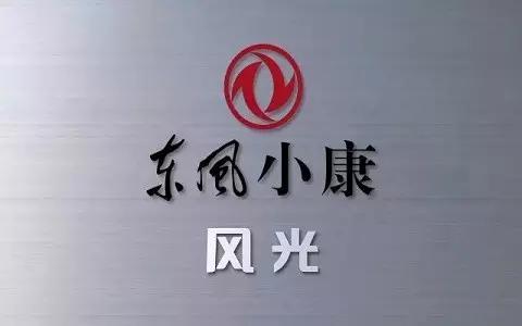 小康股份公告,小康股份未来会涨吗