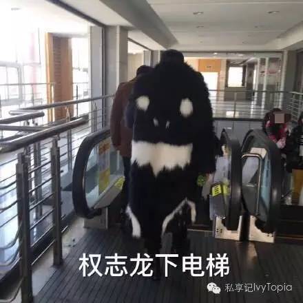 明星原款和淘宝同款有什么区别,淘宝同款和淘宝同款的区别