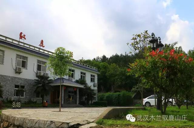 友谊的小船翻了就是翻了,友谊的小船翻了的视频