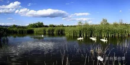 北京丰台有山有水的地方,丰台有水的地方