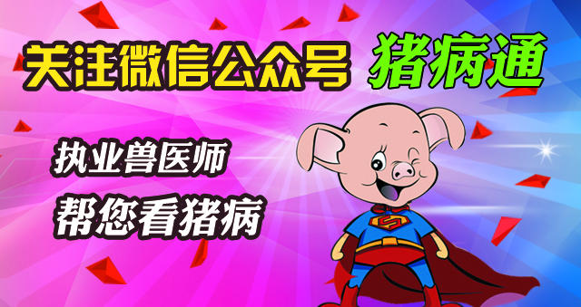 猪总睡在猪屎上什么原因,猪会拉狗屎吗原视频