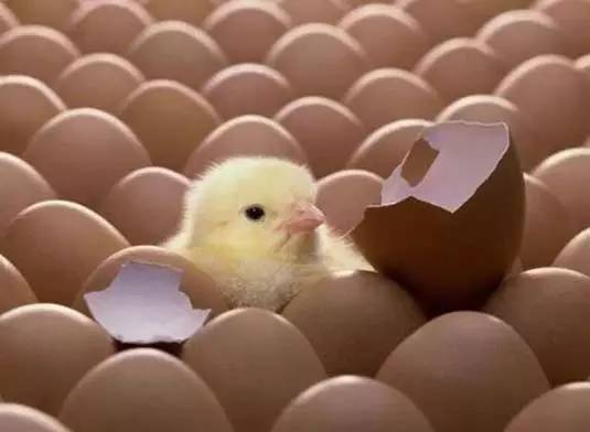 电商为什么要融资,电商软件卖东西