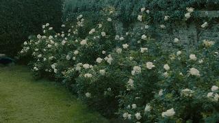 每个人心中都会有一座神秘园,每个人心里都会有一座神秘园