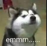 范冰冰经常做美容吗,范冰冰美妆品牌活动