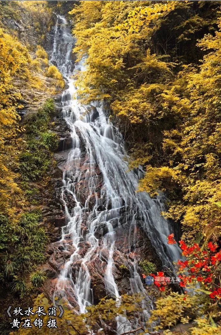 闽中深山里，有谁知道这个尤溪姑娘？真的太美了！