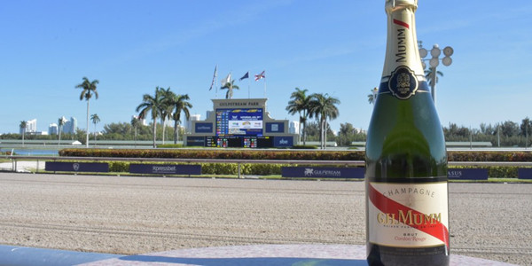 快讯：玉碎之战！“鸠占鹊巢”成为飞马世界杯首位冠军