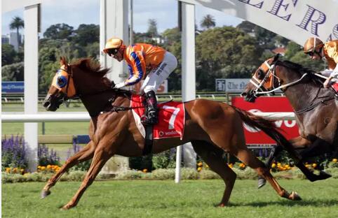 世界顶级赛马赛事,世界顶级赛马赛事直播视频回放