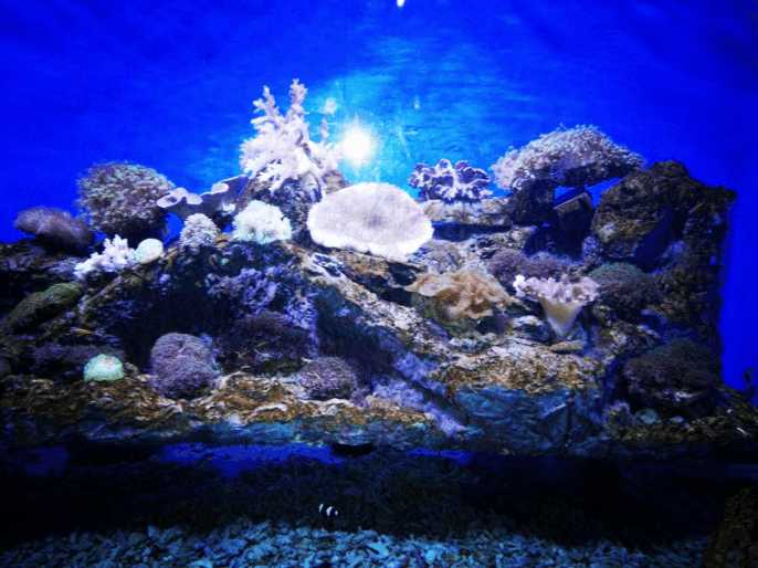 大连海边风光,想体验不一样的日出吗