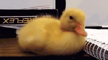 22-8简便算法,22-7简便算法