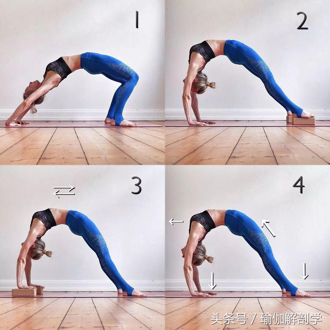 瑜伽初学者每天必练100个体式,瑜伽初学者必练的10体式