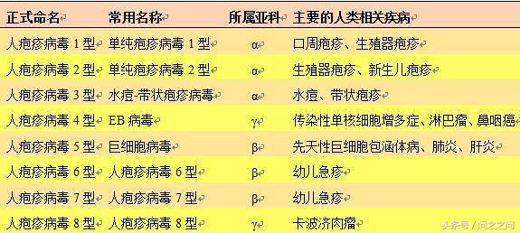 hsv病毒和疱疹的区别是什么,单纯疱疹病毒hsv1是什么