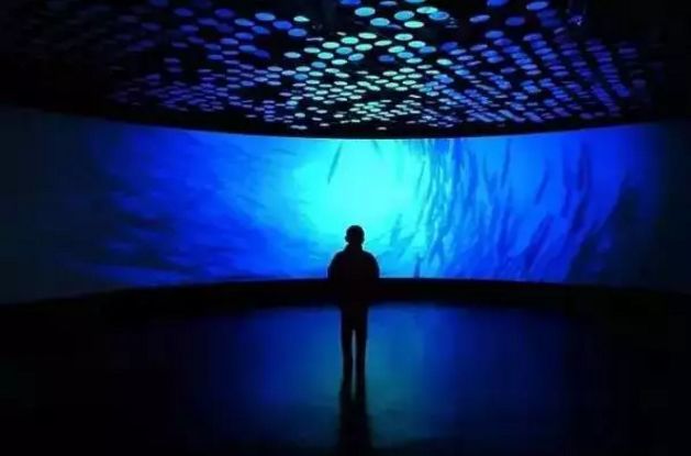 上海残疾人免费景点一览表,上海景区免费景点