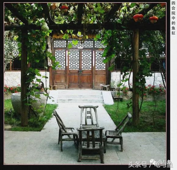 古法养鱼能养锦鲤吗,古法养鱼全过程视频