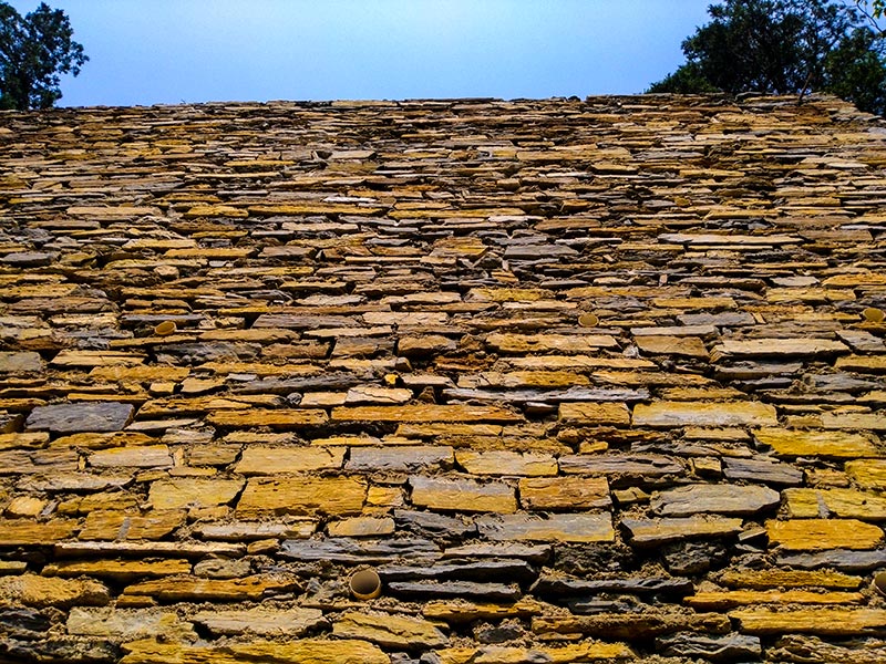 上方山森林动物世界游记,上方山动物园游记四年级