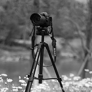 摄影是光影的艺术用英语怎么说,摄影是美学吗