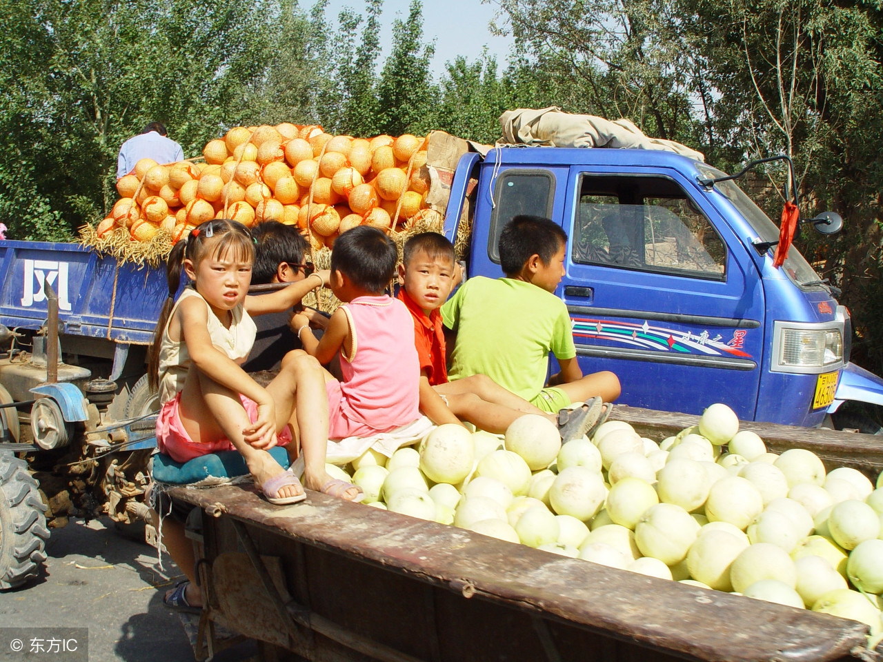 城里人往乡里跑,现在城里人都往农村跑啥意思