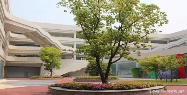 南京十大顶级小学,南京前十名重点小学排名榜