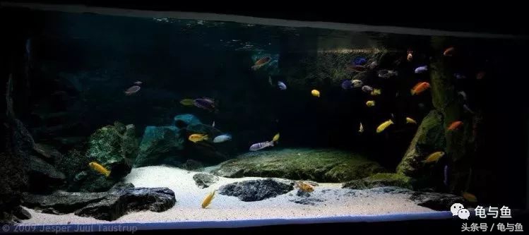 鱼缸水质测试纸正常值对照表,水族用盐用量计算