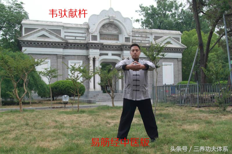 易筋经洗骨髓养生功法,易筋经治十种病