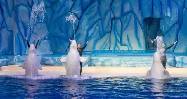 河南迪士尼乐园城堡,郑州迪士尼旅游景点