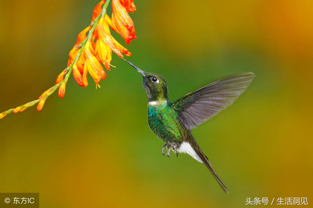 单位混得好的人都懂得这7条规则,要想混得好一定要懂人情世故